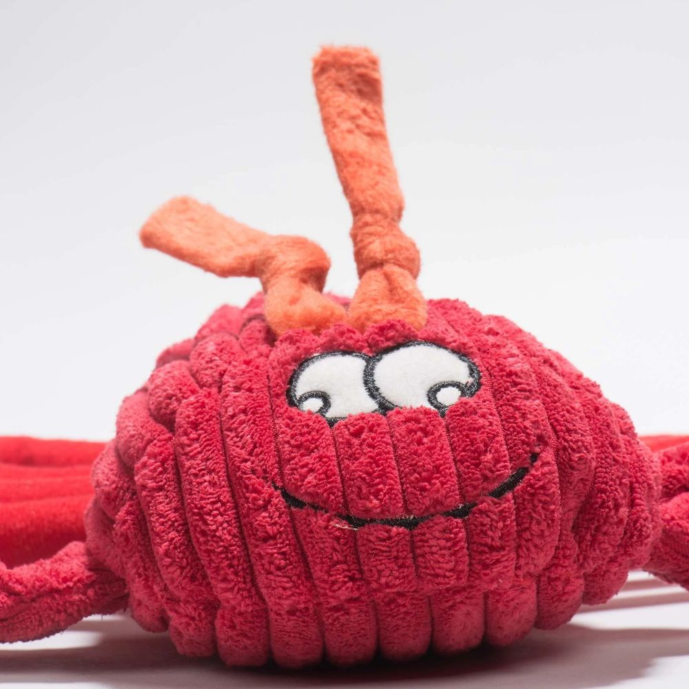 McCracken Lobsta Knottie Plush Dog Toy