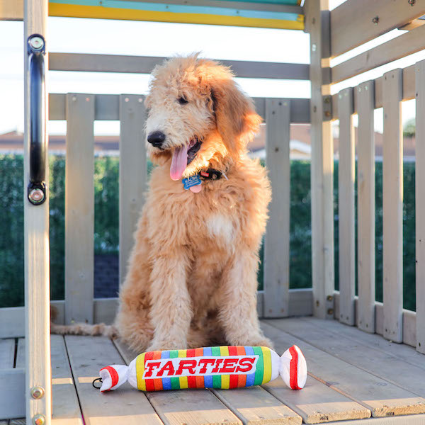 Farties Dog Toy