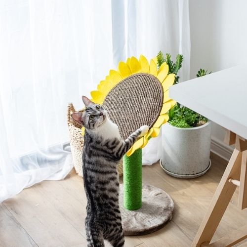 Catry Cat Sunflower Tree Bed - Sisal Covered 2 in 1 Climbing Activity Tower
