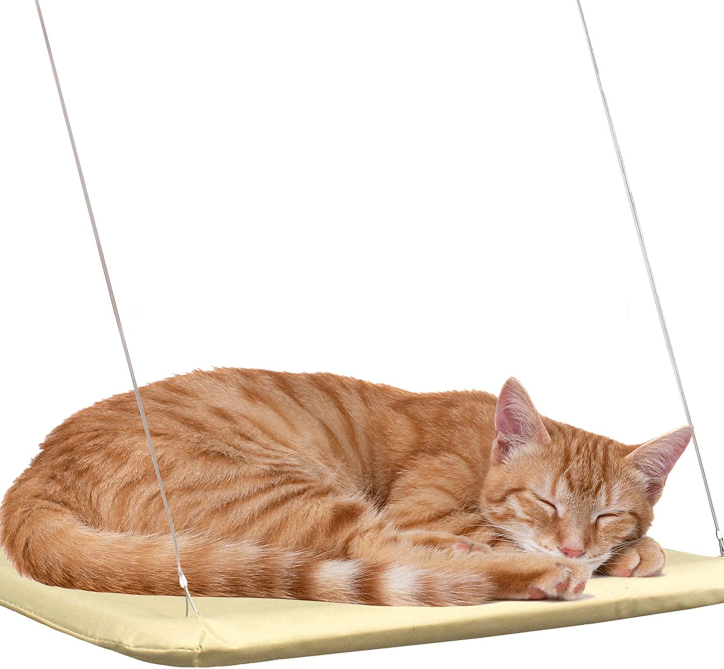 Window Bed