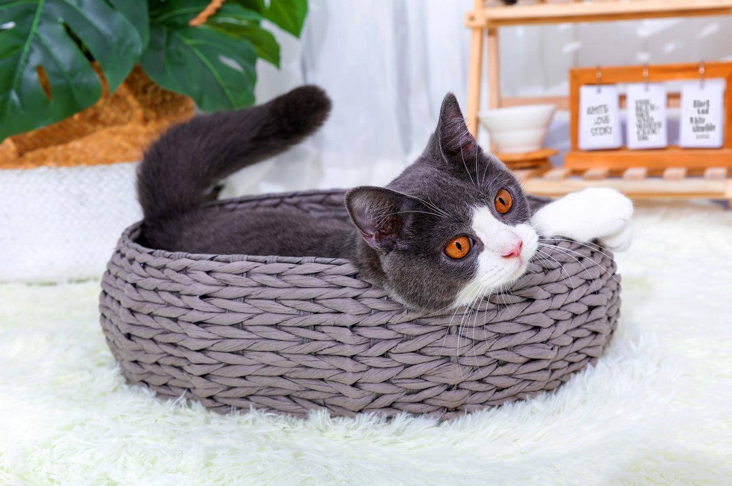 Petpals Buttercup Natural Aesthetic, Handwoven, Eco-Friendly Pet Bed