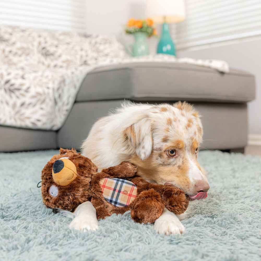 Slappies Beary Styles Dog Toy