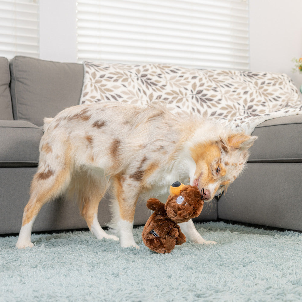 Slappies Beary Styles Dog Toy