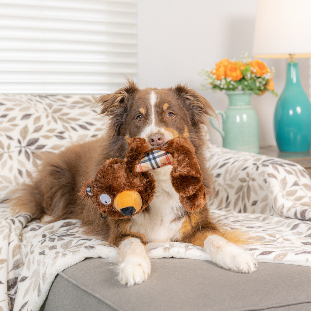 Slappies Beary Styles Dog Toy