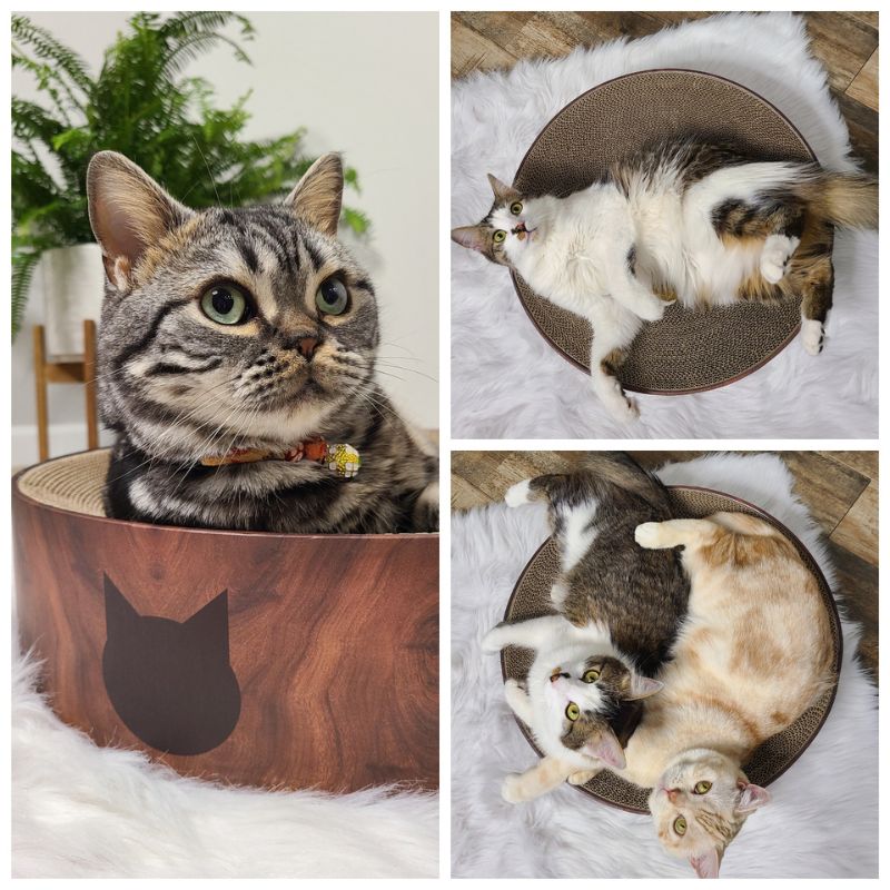 Cozy Cat Scratcher Bowl XL (Dark Cherry)