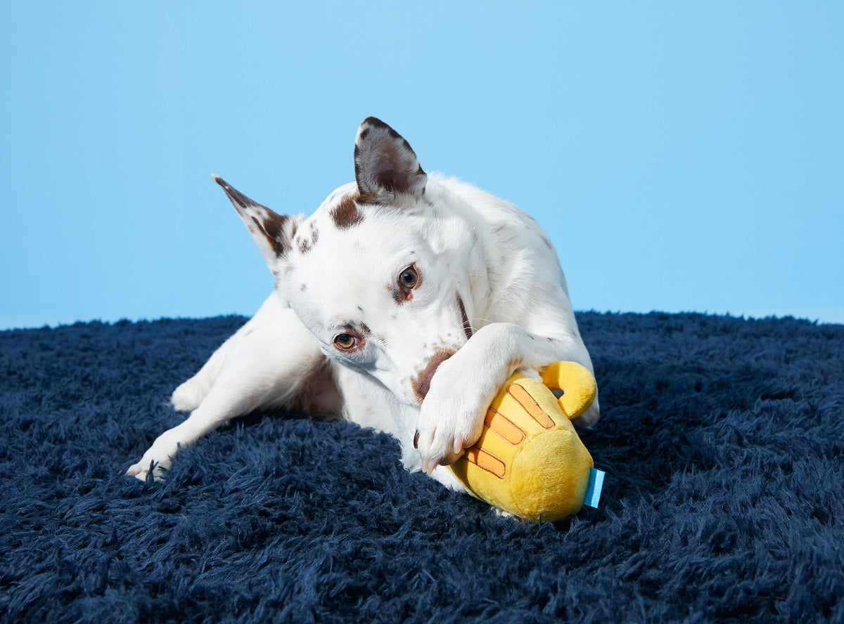 BARK Hair of the Dog