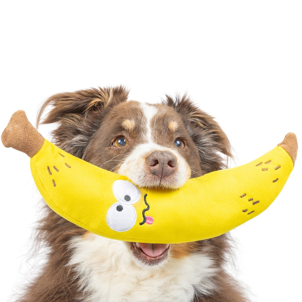 Fetchies Bruiser Banana Dog Toy