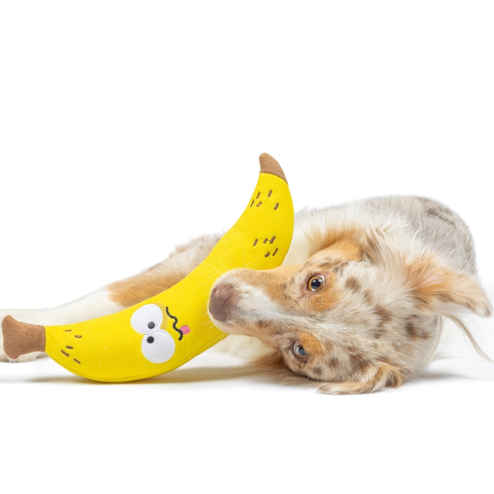 Fetchies Bruiser Banana Dog Toy