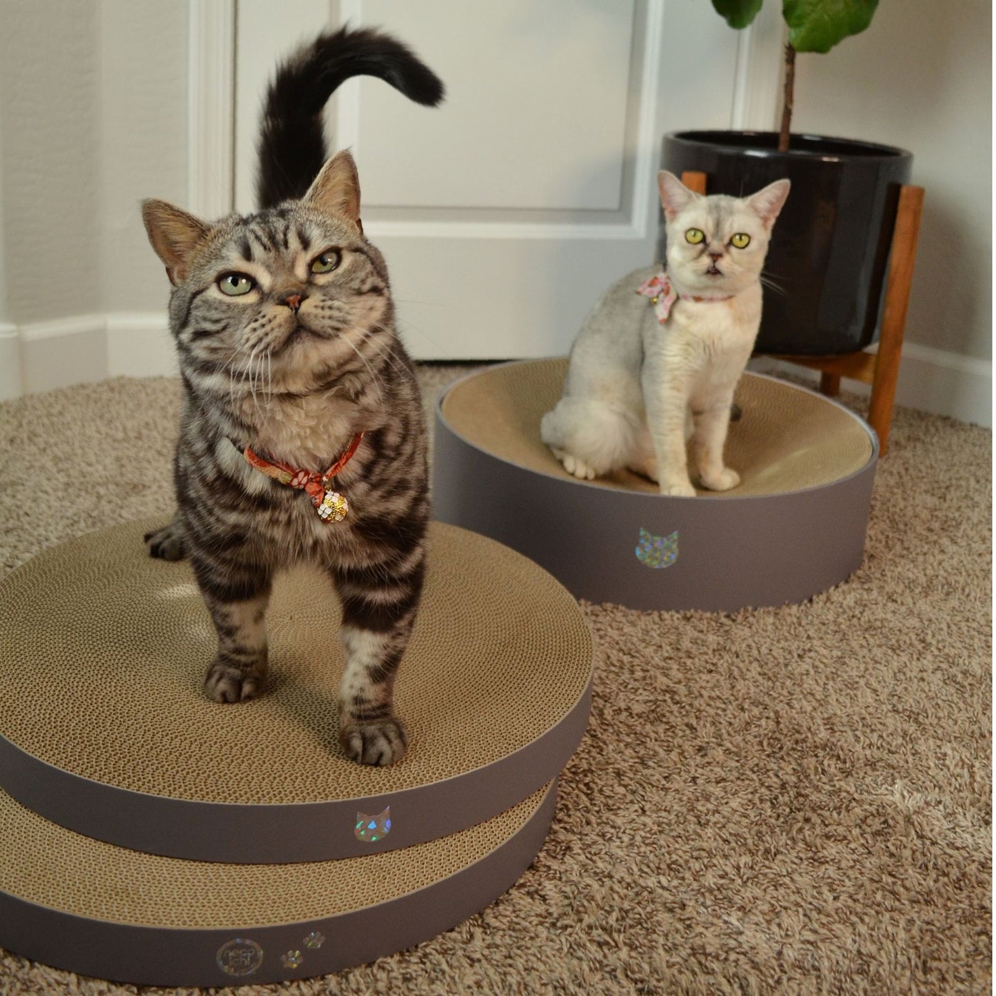 Cozy Cat Scratcher Bowl Replacement Pad (Hologram Gray, 2 pack)