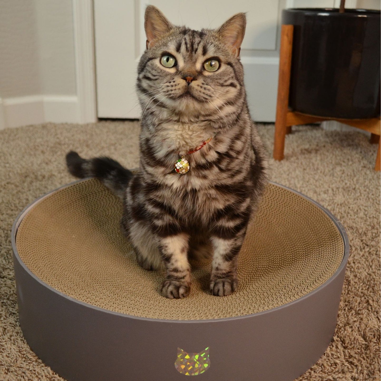 Cozy Cat Scratcher Bowl XL (Hologram Gray)