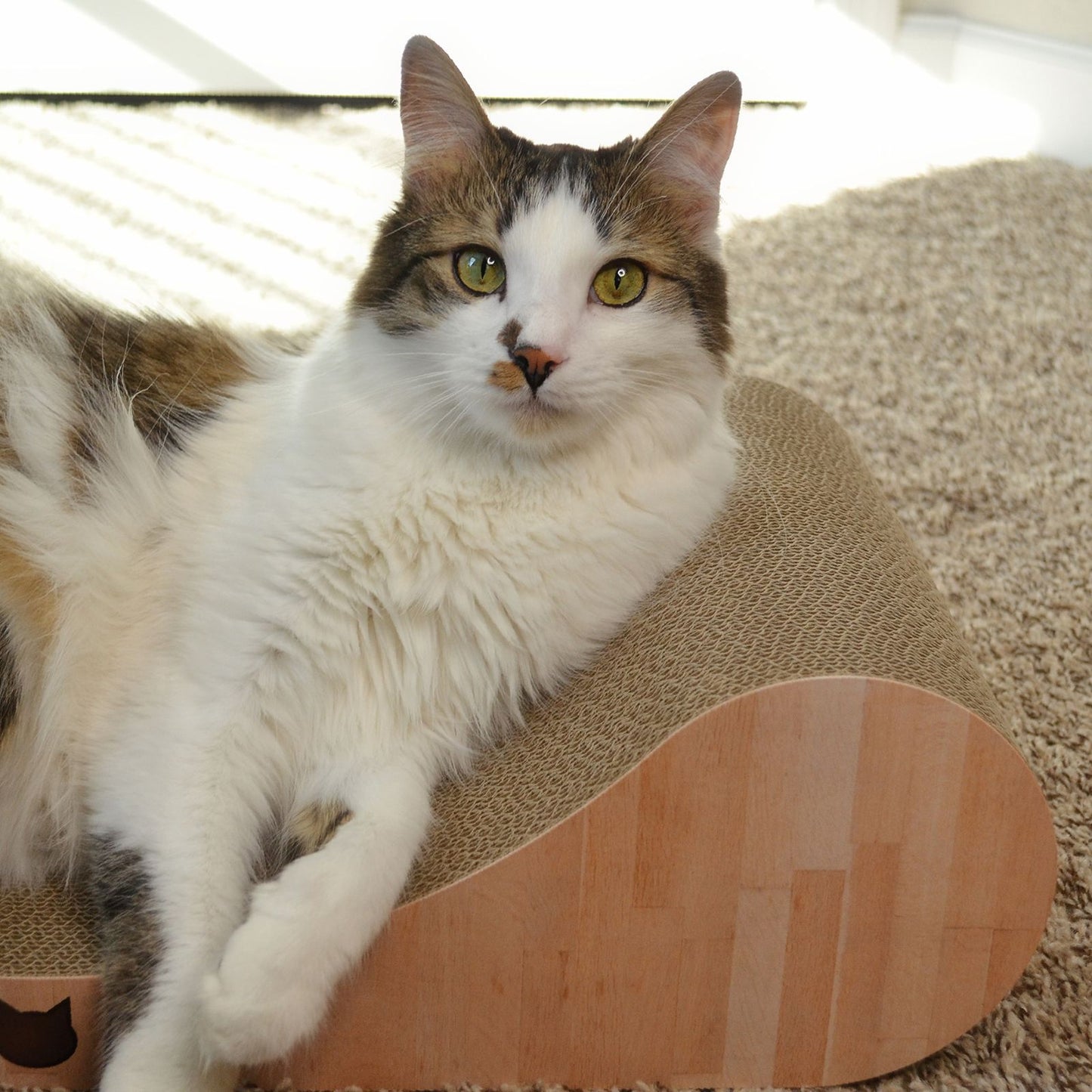 Premium Comfort Curved Cat Lounger Large (Oak)