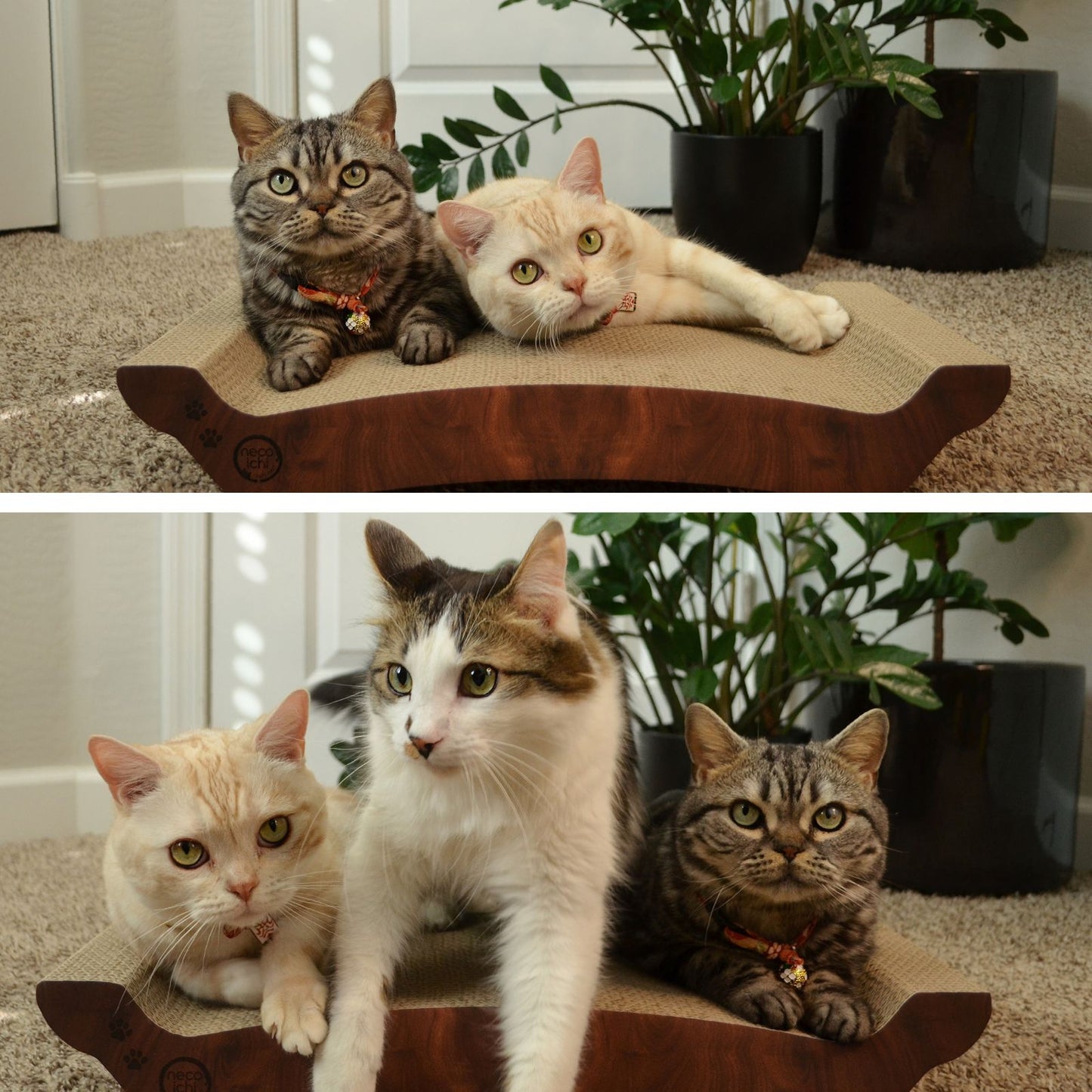 Premium Comfort Reversible Cat Bed Large (Dark Cherry)