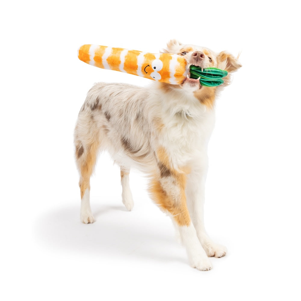 Fetchies Sweet Carrot Dog Toy