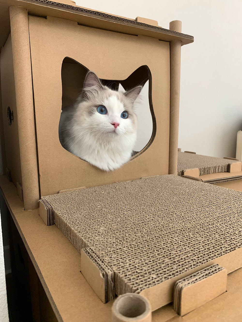 Feline Fortress Cat House