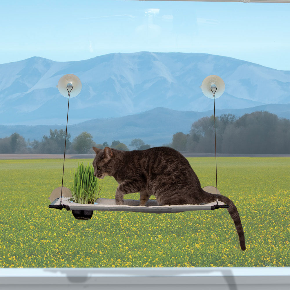 EZ Mount Window Lounger with Cat Grass Grow Station by K&H