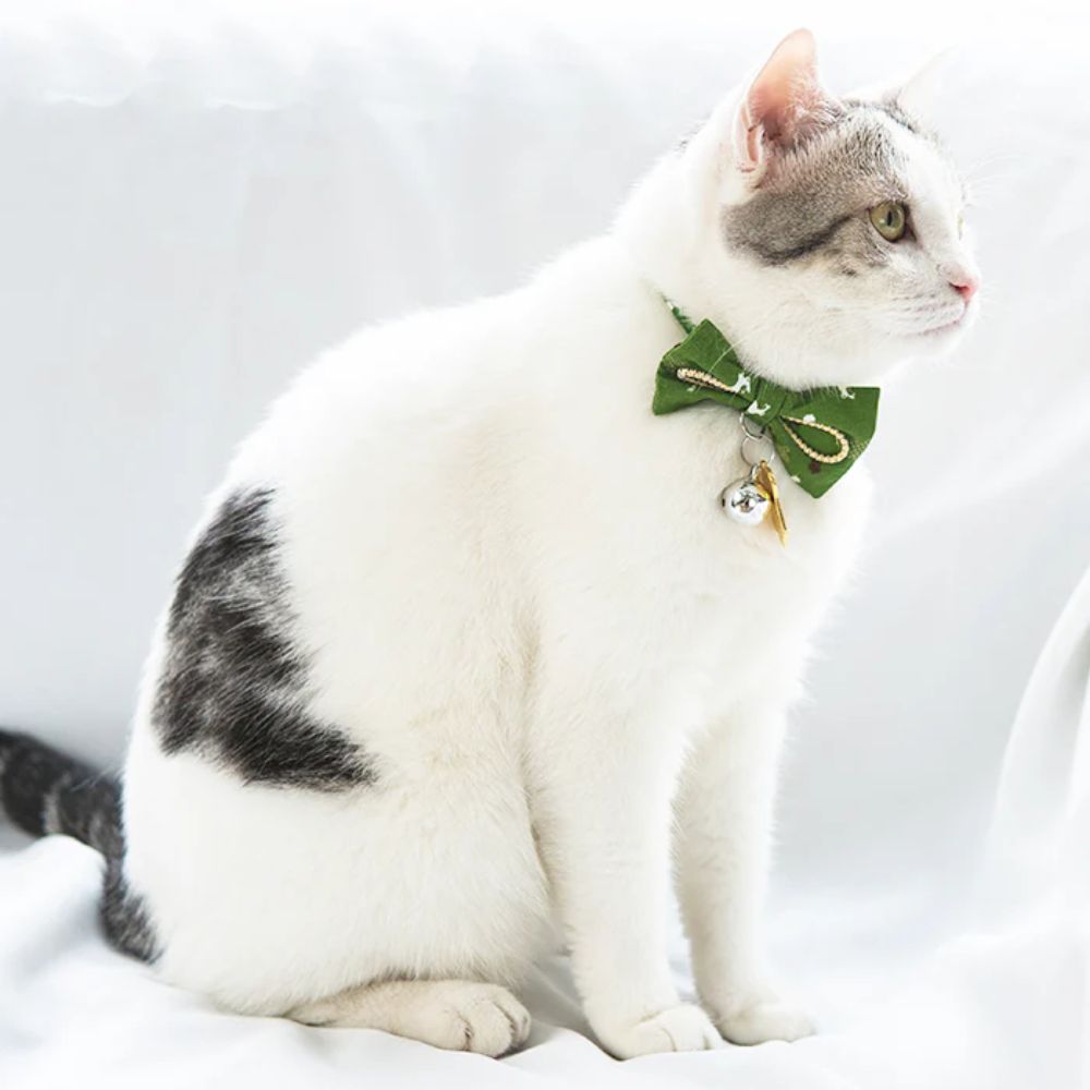 Touchcat Glampurr Elegant Fashion Cat Collar - Green