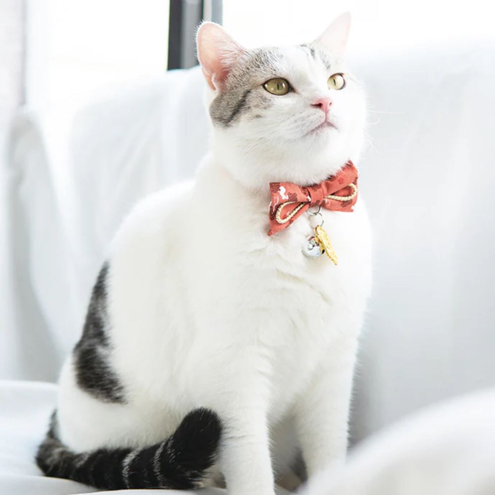 Touchcat Glampurr Elegant Fashion Cat Collar - Pink
