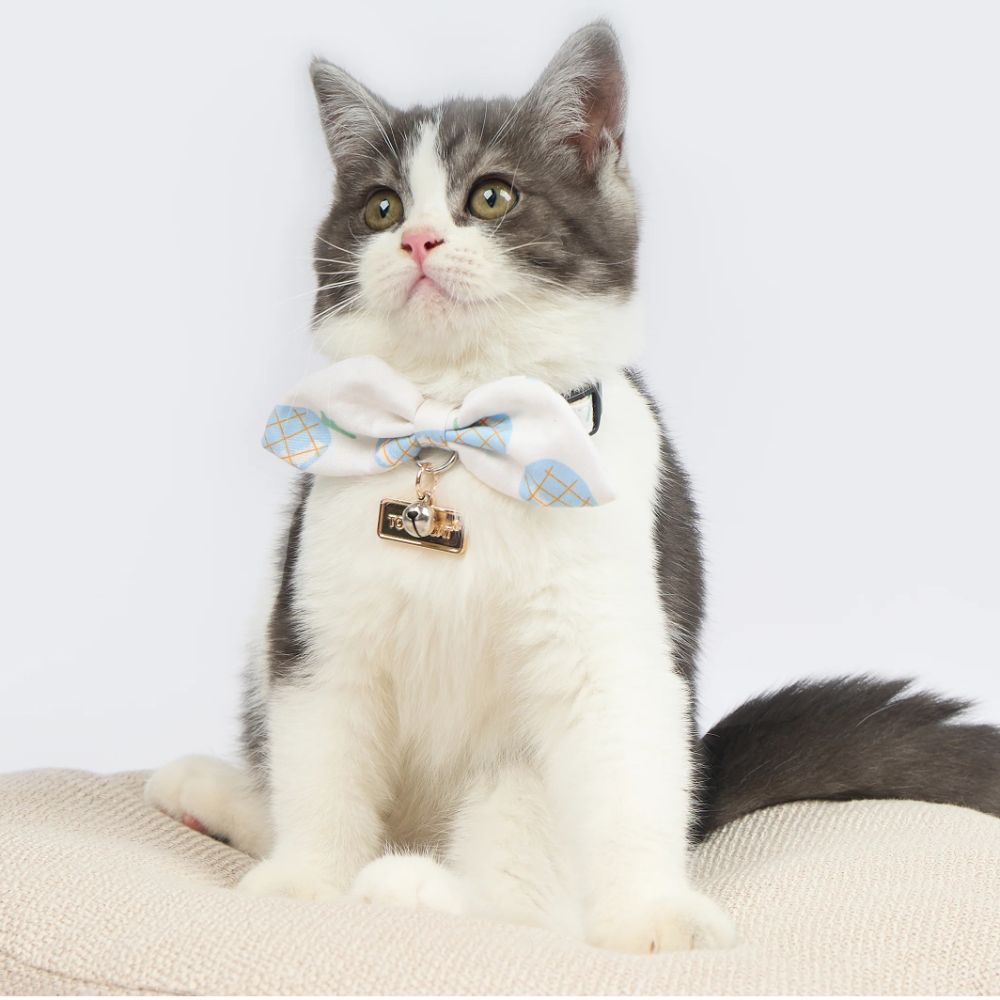 Touchcat Pineapple Patterned Designer Cat Collar - Blue