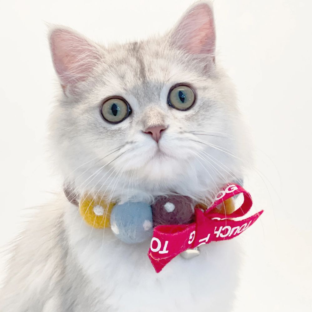 Touchcat Pom-Pom Patterned Designer Cat Neck Collar - Yellow