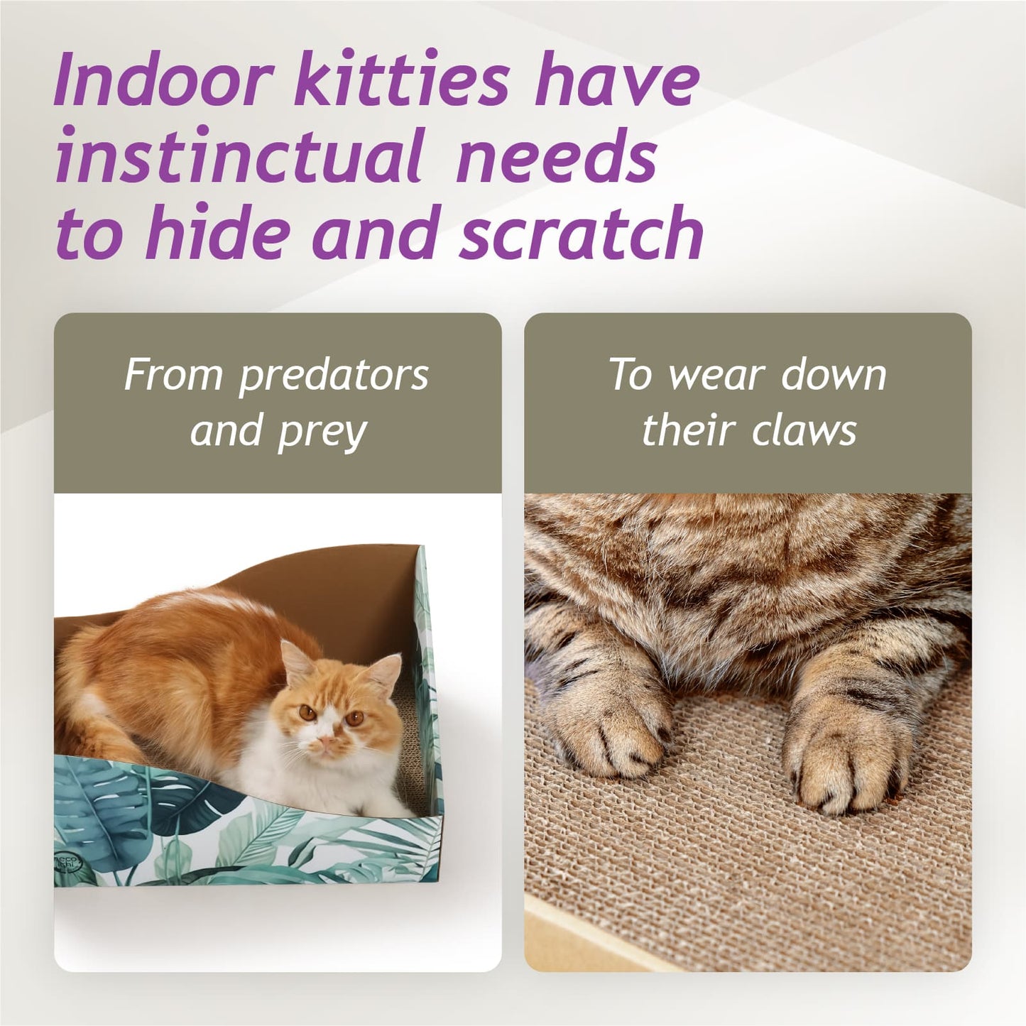 Hideaway Cat Scratcher Box (Go Green)