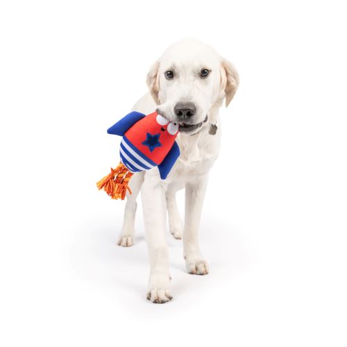 Rocket Man Dog Toy