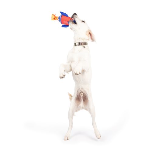 Rocket Man Dog Toy