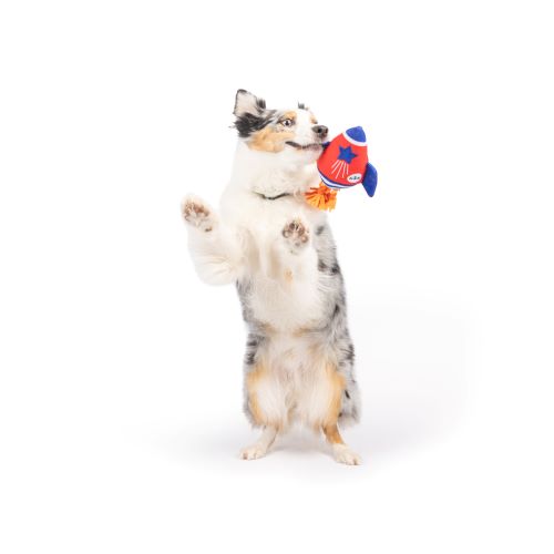 Rocket Man Dog Toy