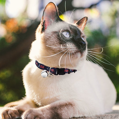 ATLANTA BRAVES SATIN CAT COLLAR