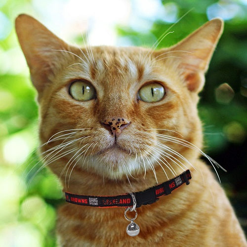 CLEVELAND BROWNS SATIN CAT COLLAR