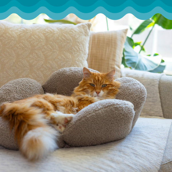 Purrfect Petals Cat Bed Tan 21