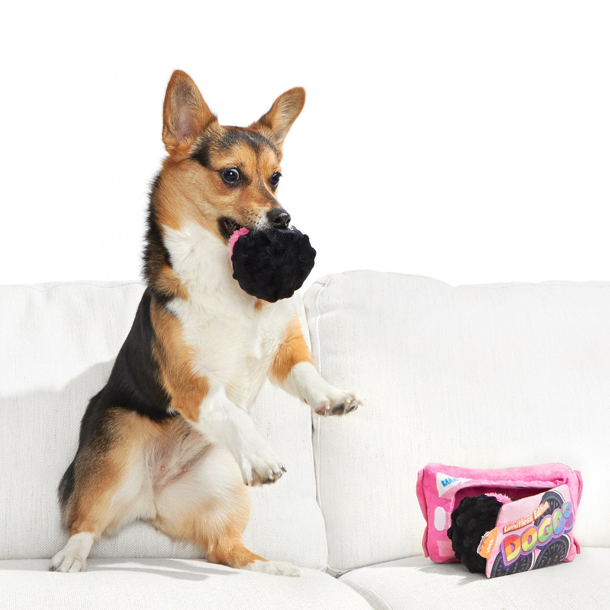 BARK Rainbow Dogo Dunkers Plush Dog Toy