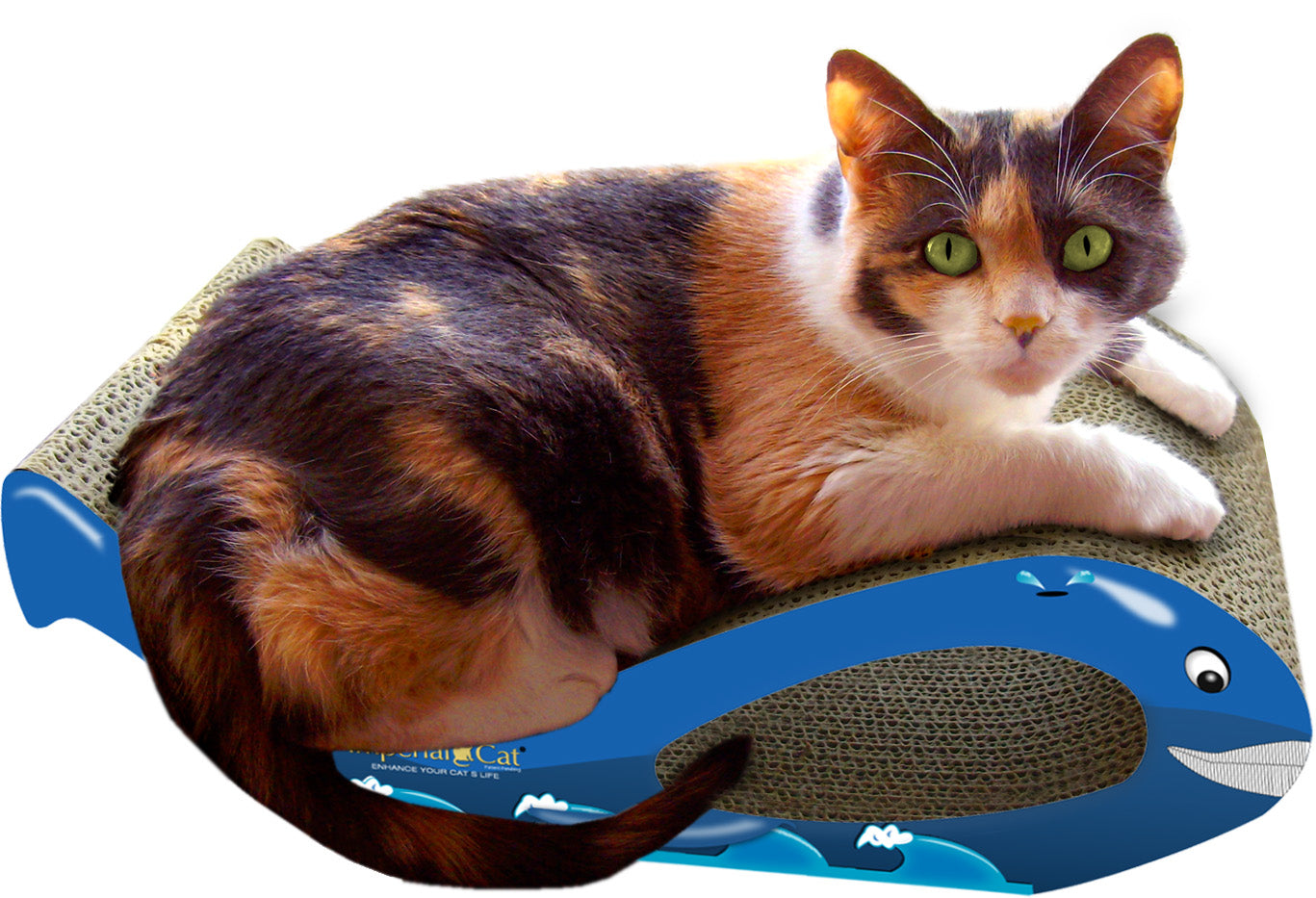 Scratch 'n Shapes Whale Scratcher