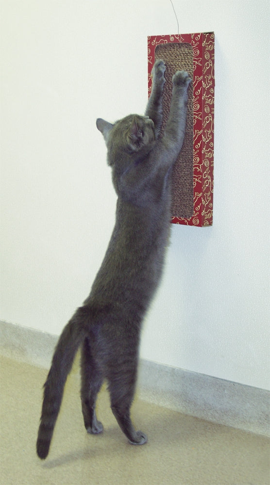 Cat Dancer Wall Scratcher & Play Station