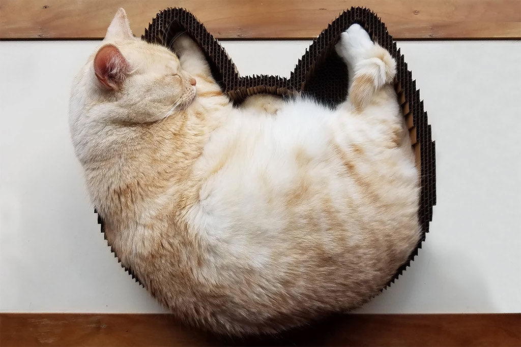 2-in-1 Cat Scratching Pad & Lounge Bed
