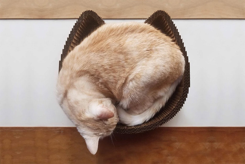 2-in-1 Cat Scratching Pad & Lounge Bed