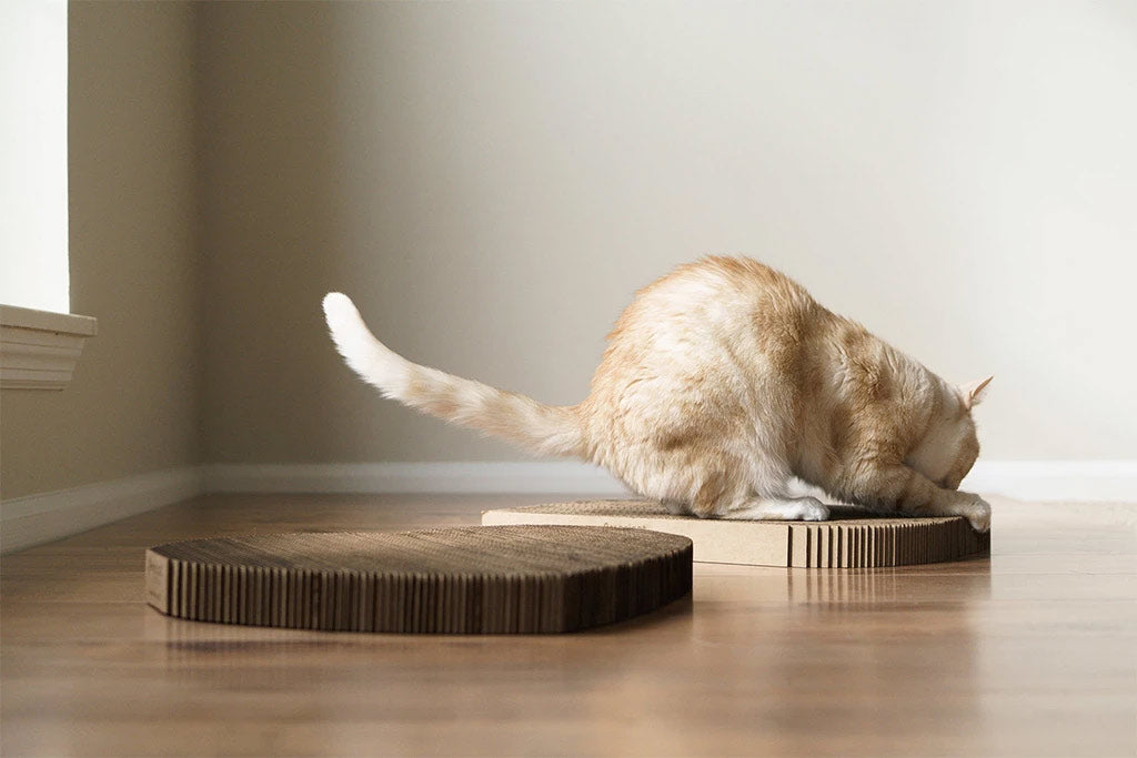 Cat Scratching Pad: Cat Head Shape