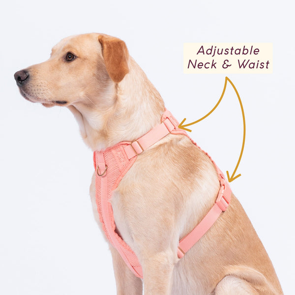 Huggie Harness