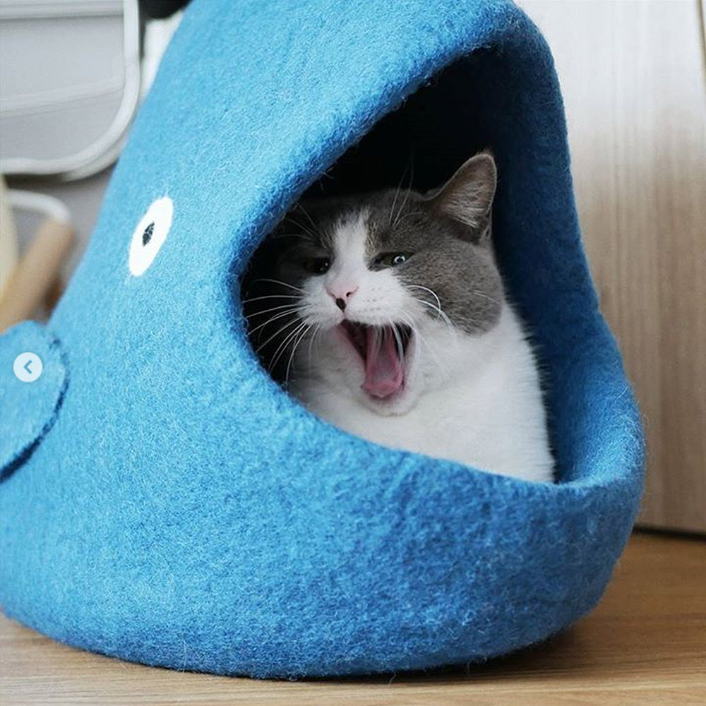 Wool Pet Cave, Blue Whale