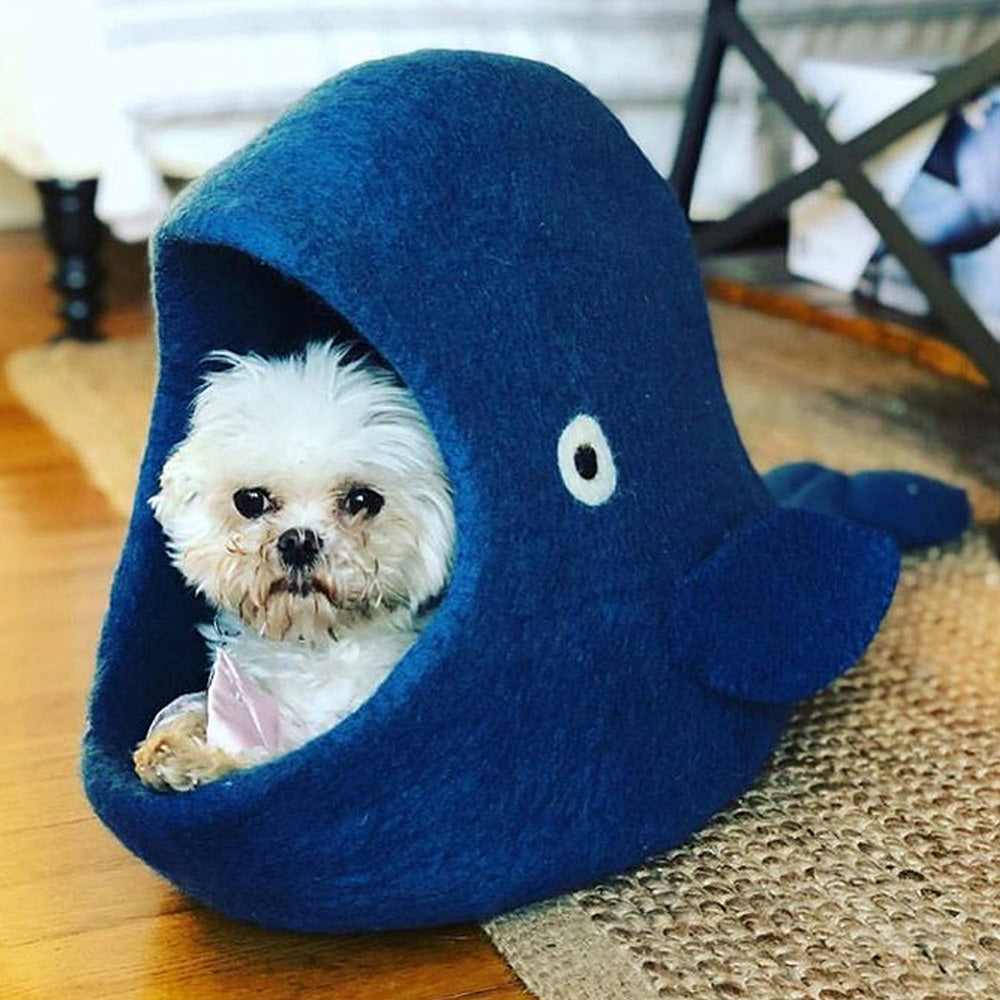 Wool Pet Cave, Blue Whale