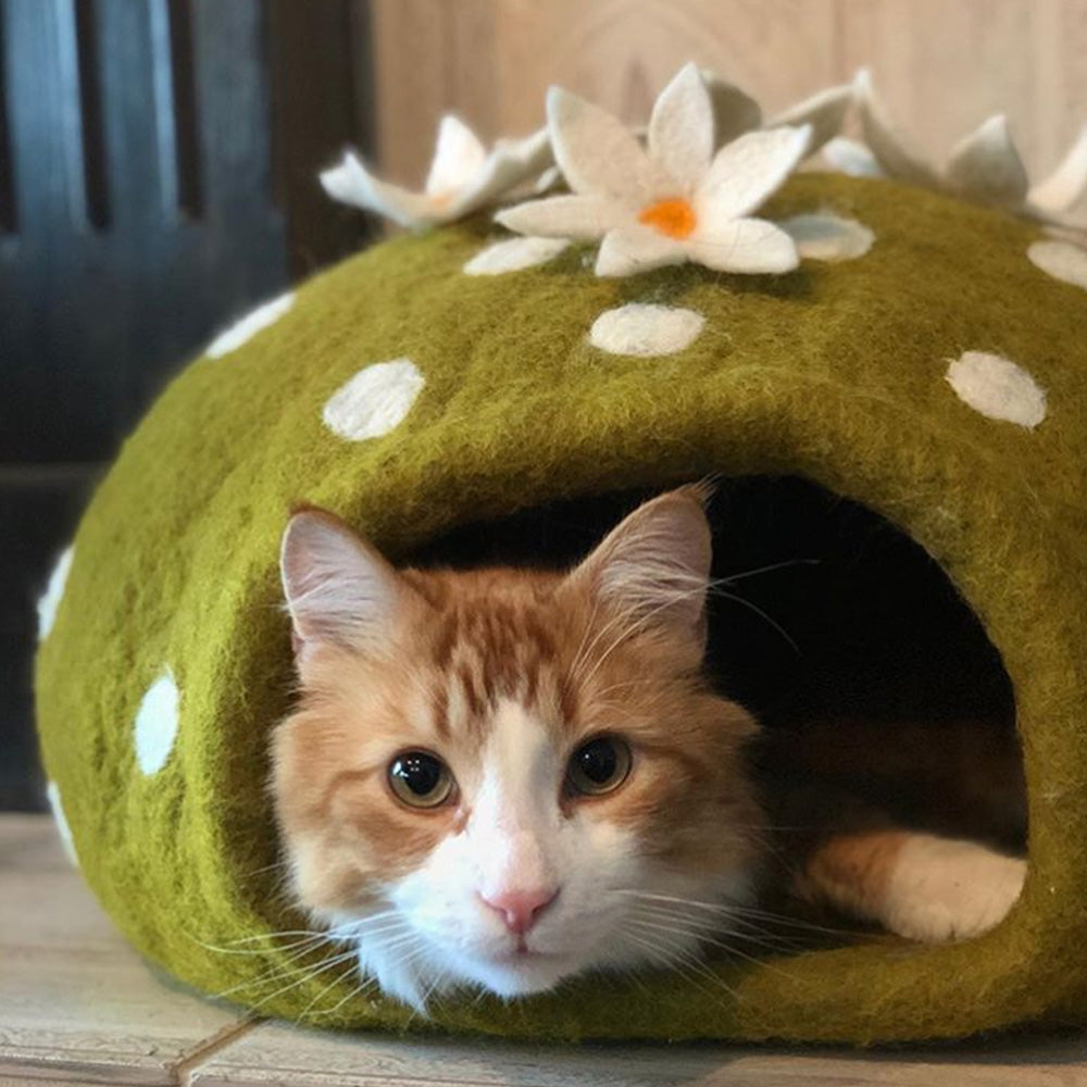Wool Pet Cave, Cactus