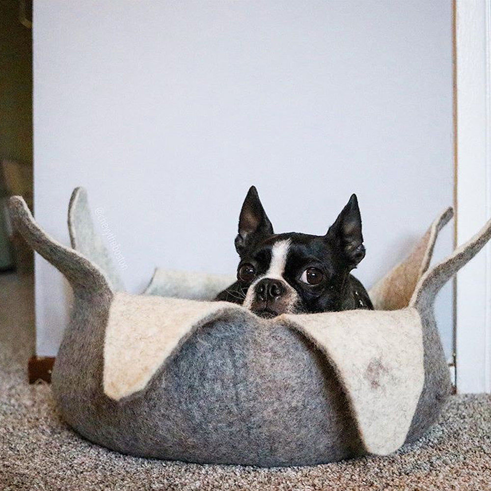 Wool Pet Basket, Petals, Natural