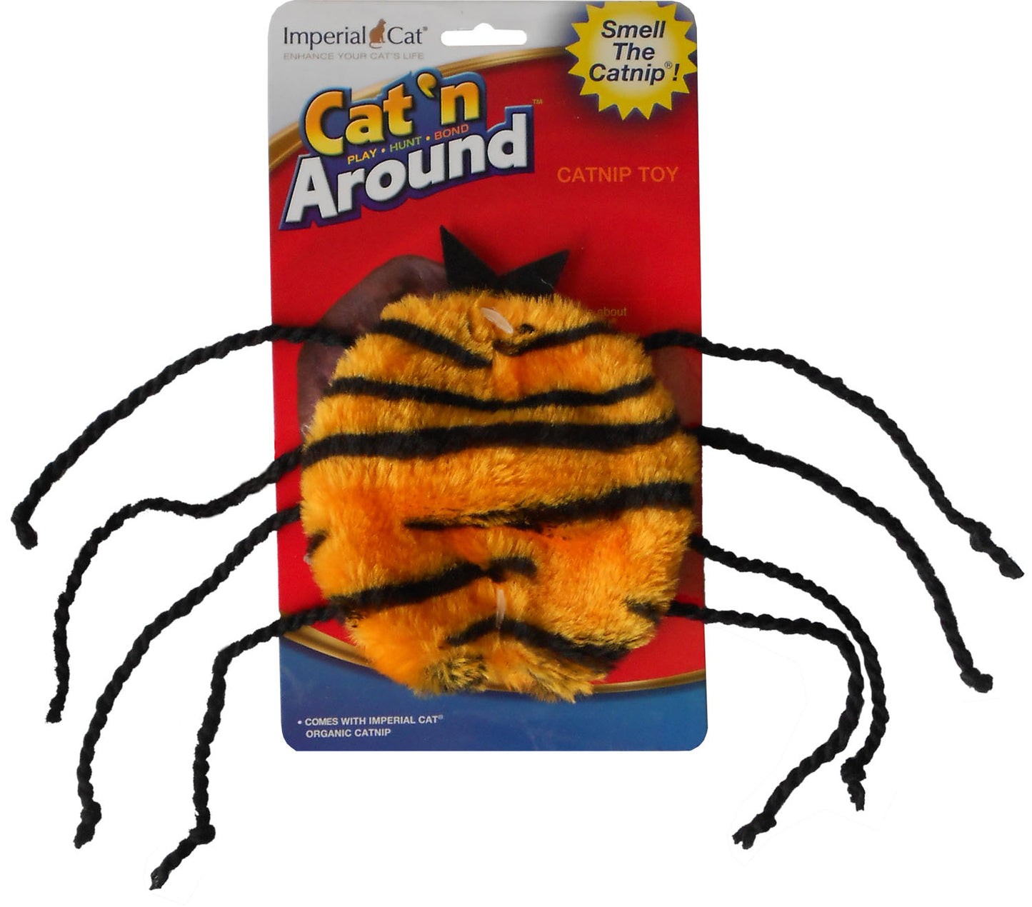 Scratch 'n Shapes Skeleton Fish Halloween Kit, case of 6