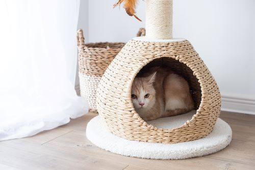 PetPals Walk Up Cat Tree with Fleece Perch, Handwoven Basket, and Sisal Scratching Post, Eco-Friendly Cat Furniture, Beige