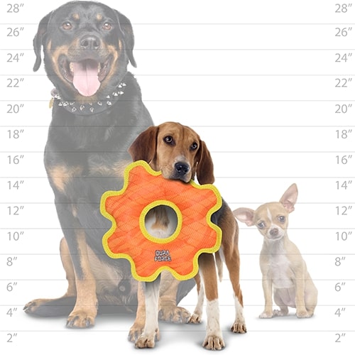 DuraForce GearRing