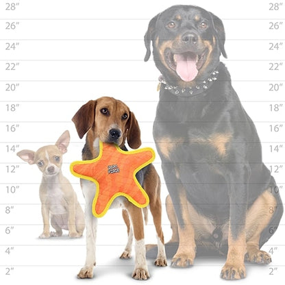 DuraForce Star