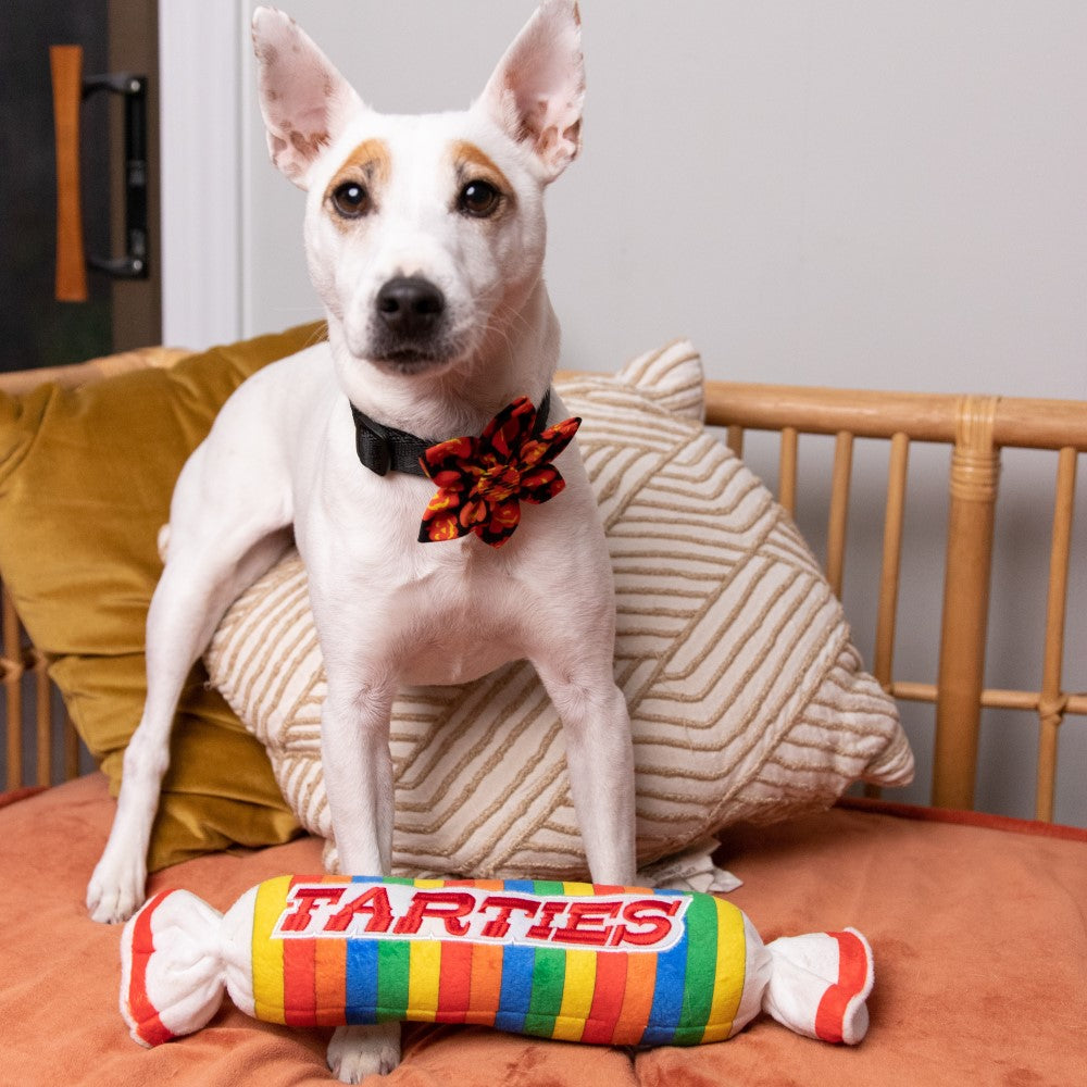 Farties Dog Toy