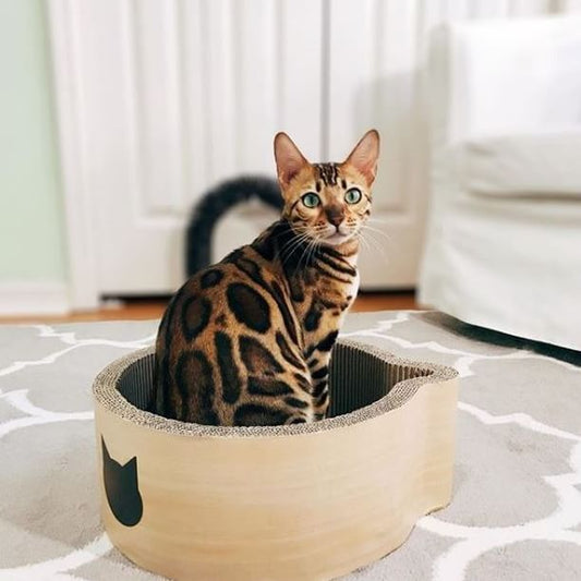 Cat-headed Scratcher Bed (Birch) - Medium