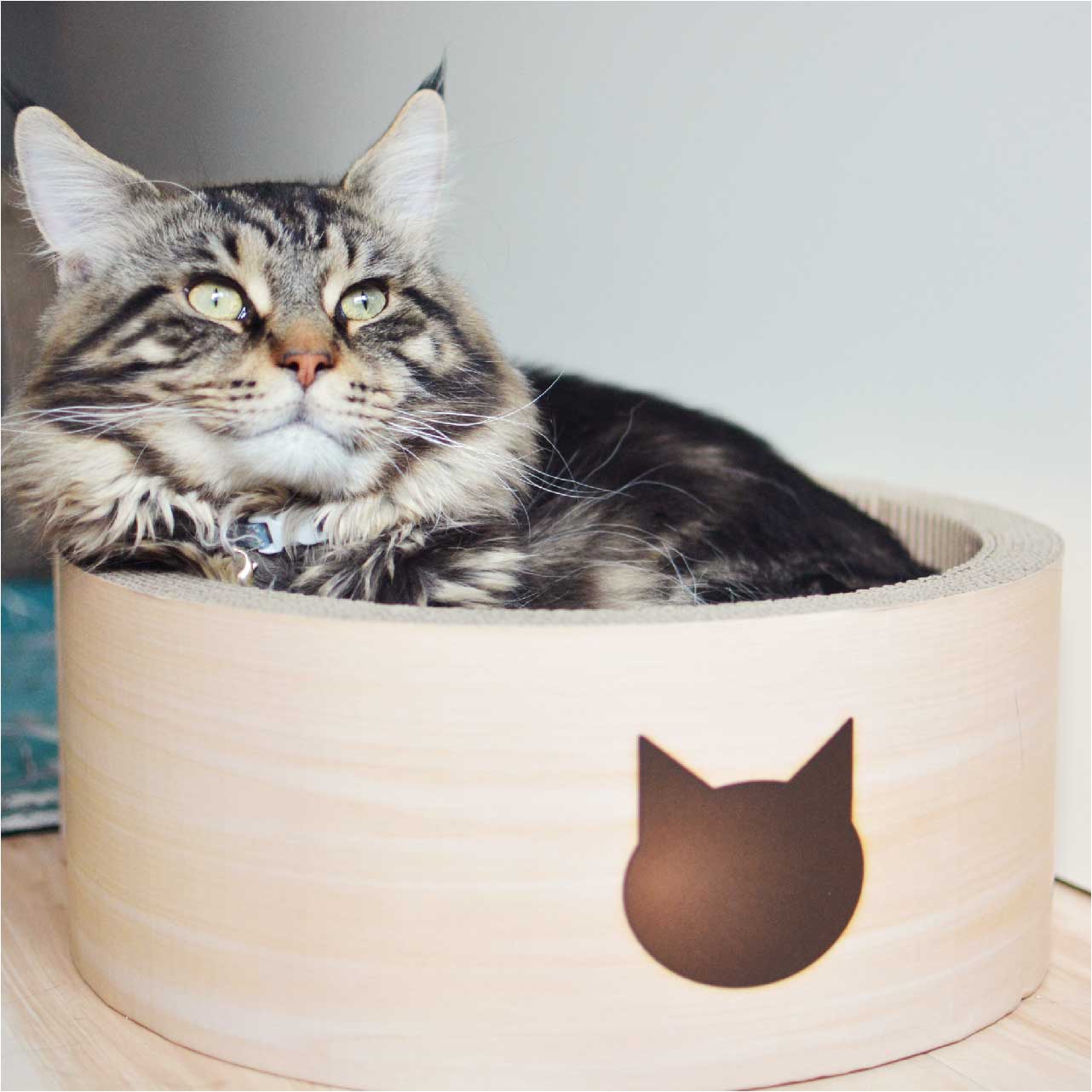 Cat-headed Scratcher Bed (Birch) - Medium