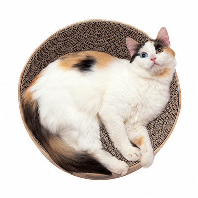 Cozy Cat Scratcher Bowl (Cat)