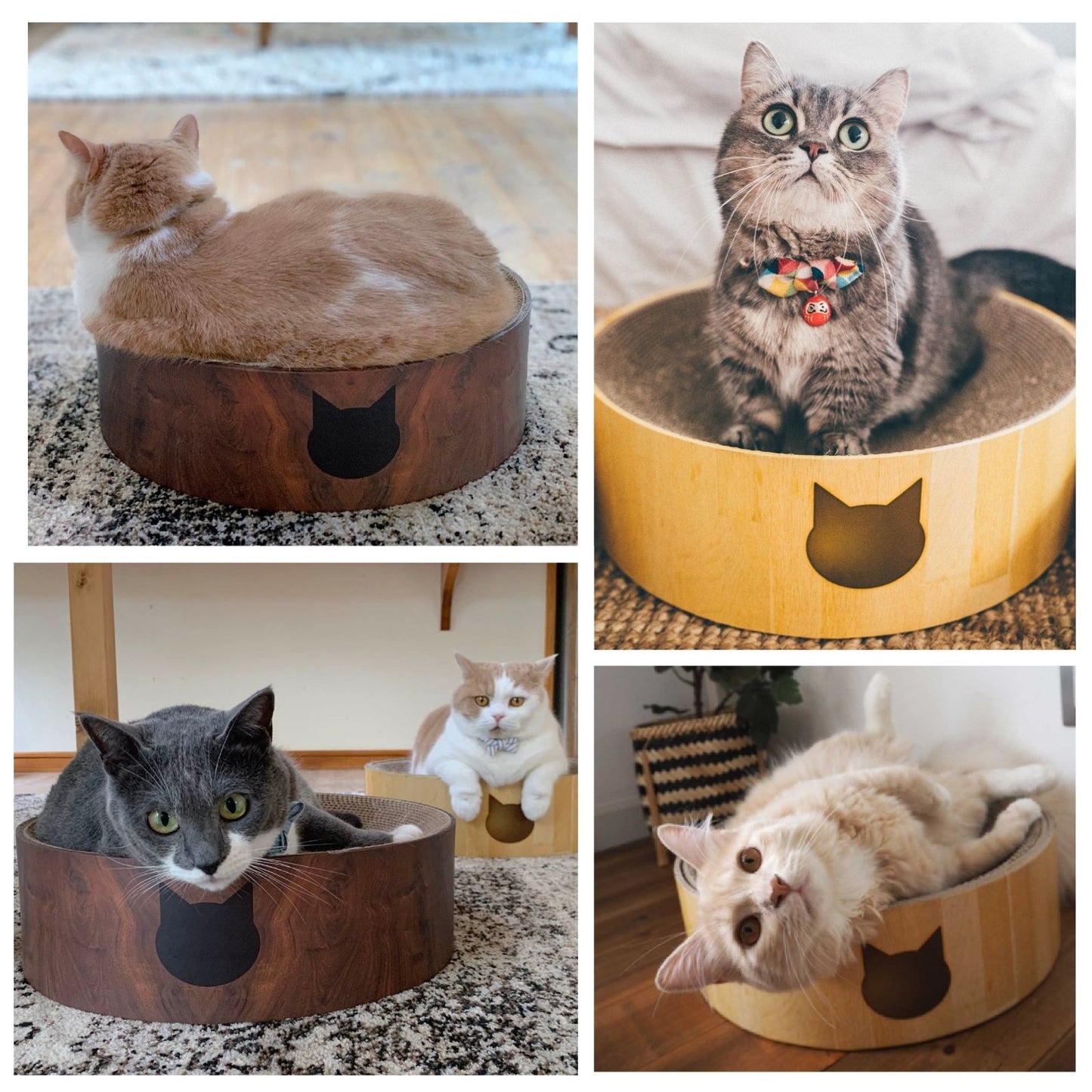 Cozy Cat Scratcher Bowl (Cat)